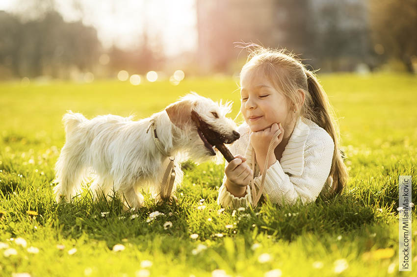 En liten jente ligger rolig i gresset med hunden sin. De leker med en pinne