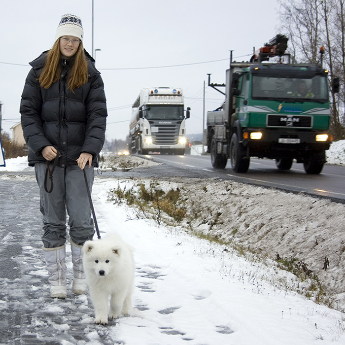 Jente og valp går langs en trafikkert vei med lastebiler og vogntog