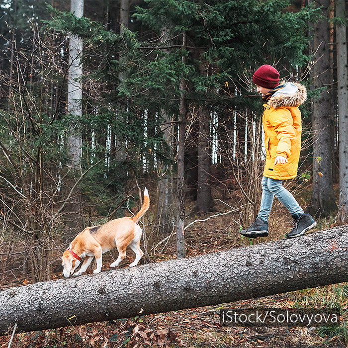 Hund og barn balanserer på en trestamme