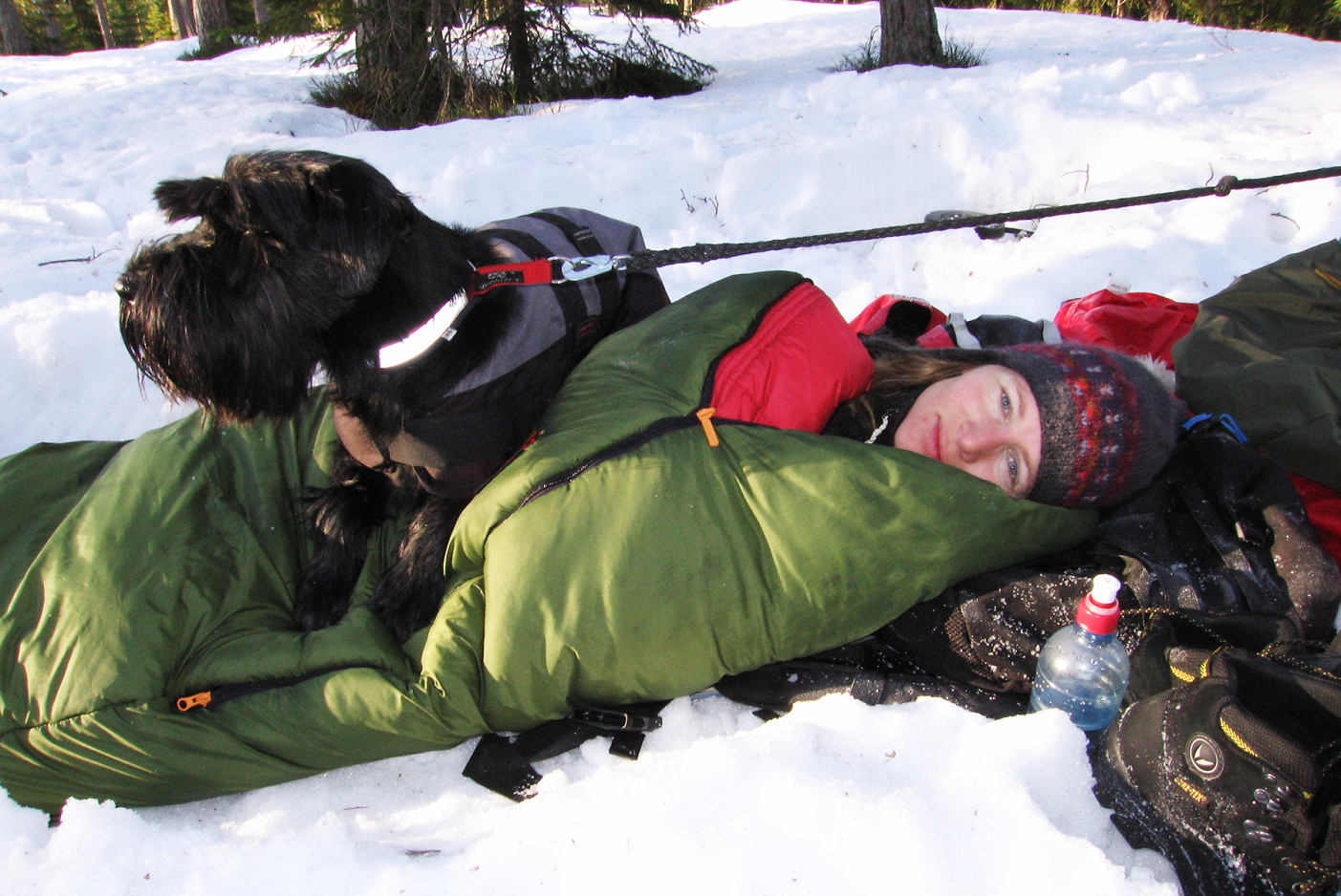 Det har blitt morgen. Hund, og kvinne i sovepose, i morgensola. 