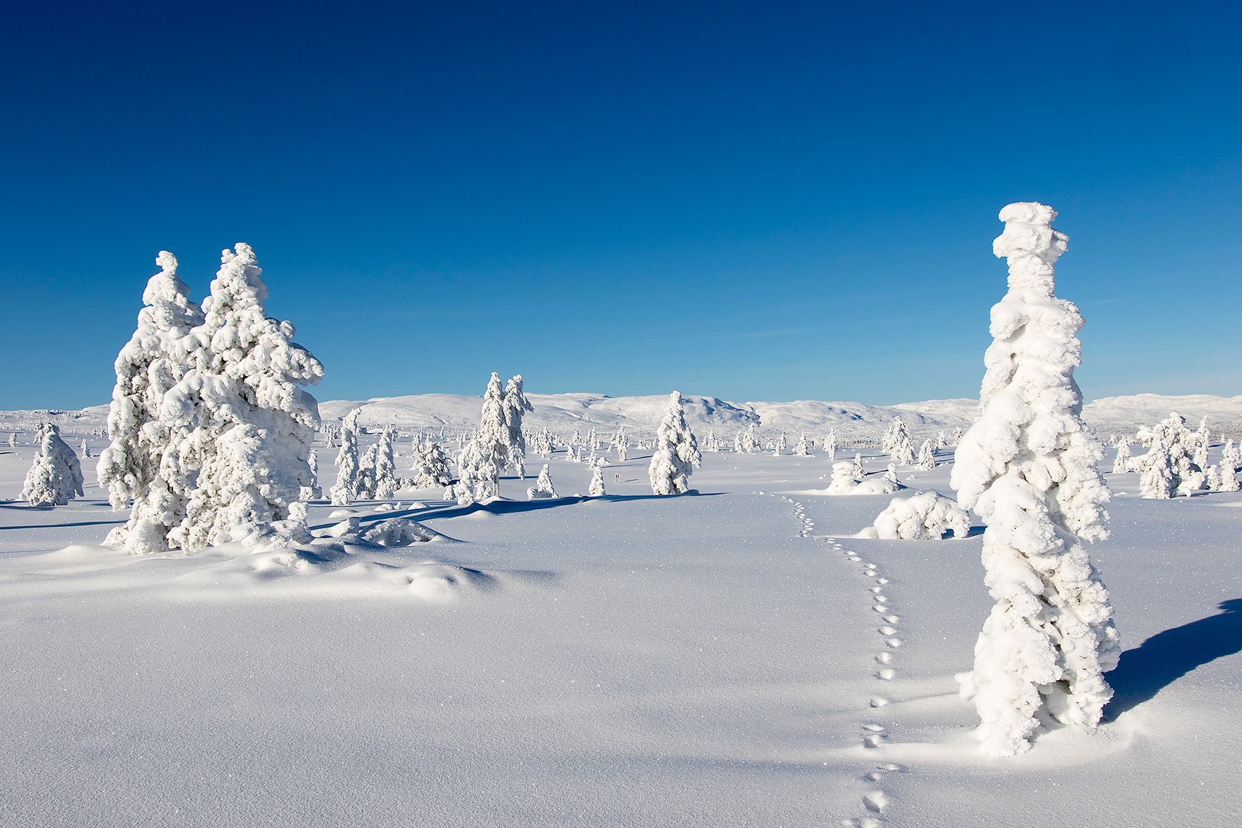 Snølandskap på Blefjell